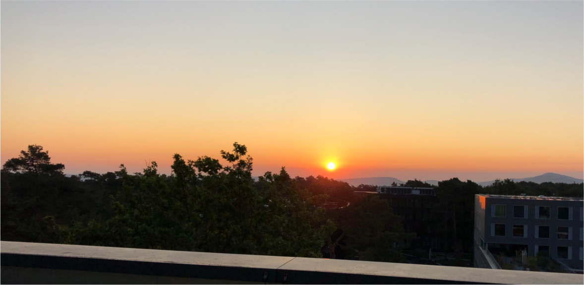 sunrise picture